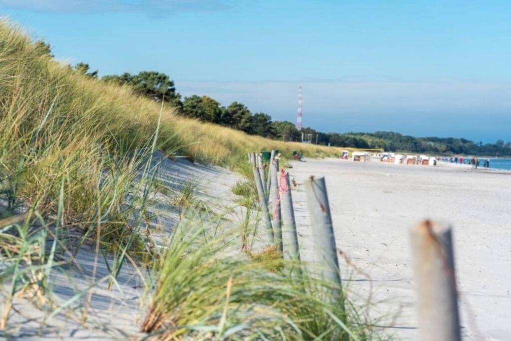 Ferienhaus Sanddorn Breege- Zwischen Bodden & Meer エクステリア 写真