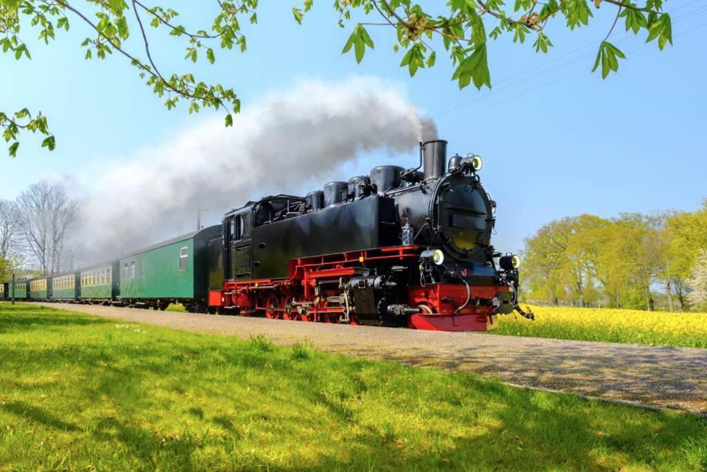 Ferienhaus Sanddorn Breege- Zwischen Bodden & Meer エクステリア 写真