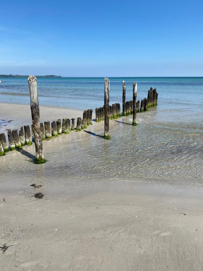 Ferienhaus Sanddorn Breege- Zwischen Bodden & Meer エクステリア 写真