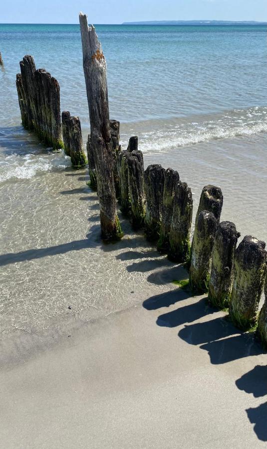 Ferienhaus Sanddorn Breege- Zwischen Bodden & Meer エクステリア 写真