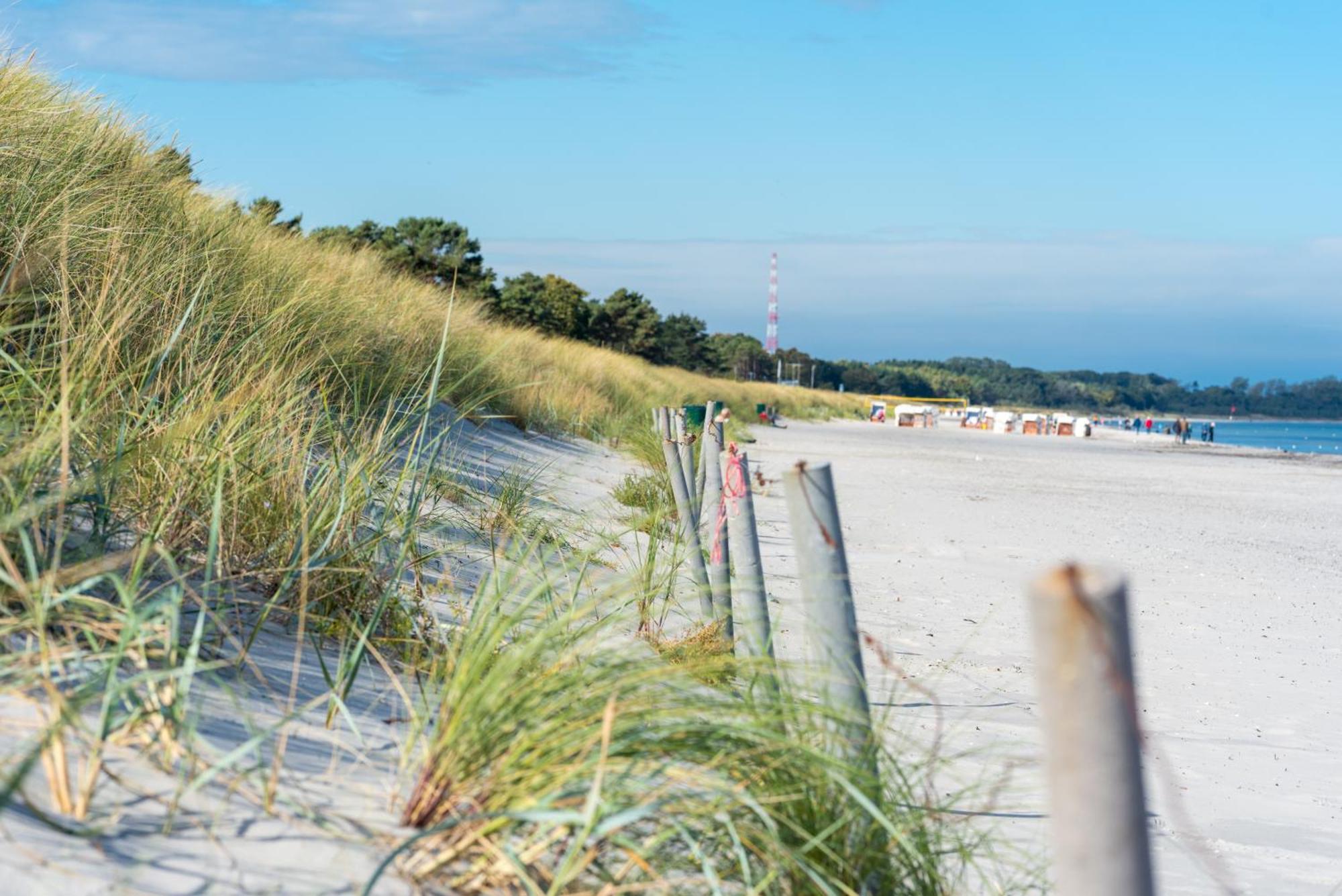 Ferienhaus Sanddorn Breege- Zwischen Bodden & Meer エクステリア 写真
